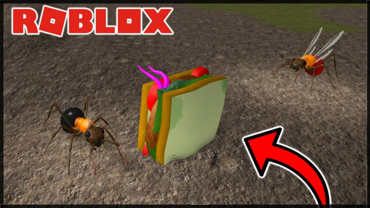 Dokazeme Zit Jako Mravenci Mravenci Simulator Ant Simulator Roblox Youtuberi Tv - roblox ant simulator