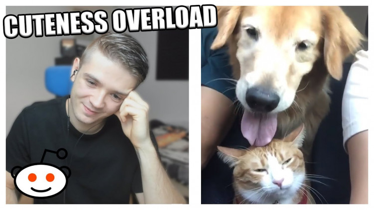 Preload Image