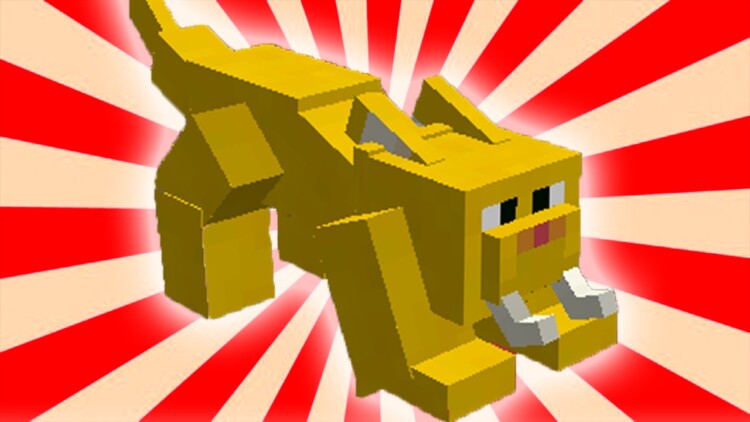 Preload Image