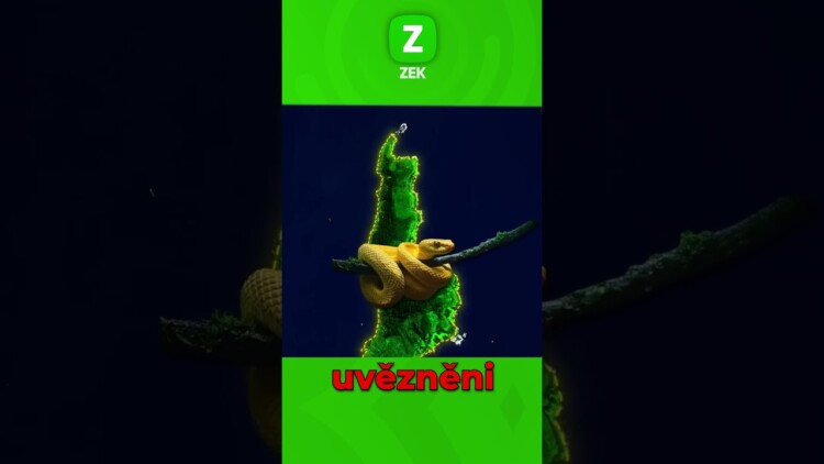 Preload Image
